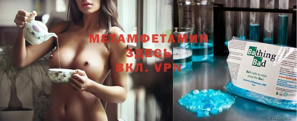 прущие грибы Надым