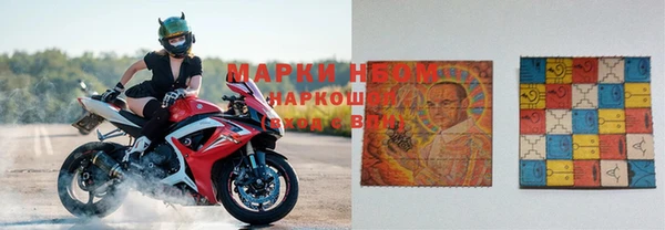 сатива Алзамай