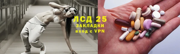сатива Алзамай