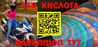 скорость Кингисепп