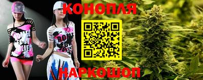 скорость Кингисепп