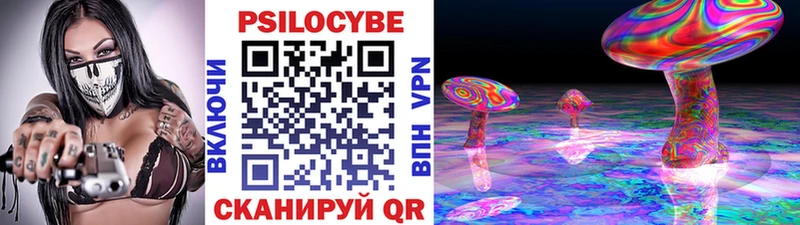 где продают   Нижний Тагил  Псилоцибиновые грибы Psilocybine cubensis 
