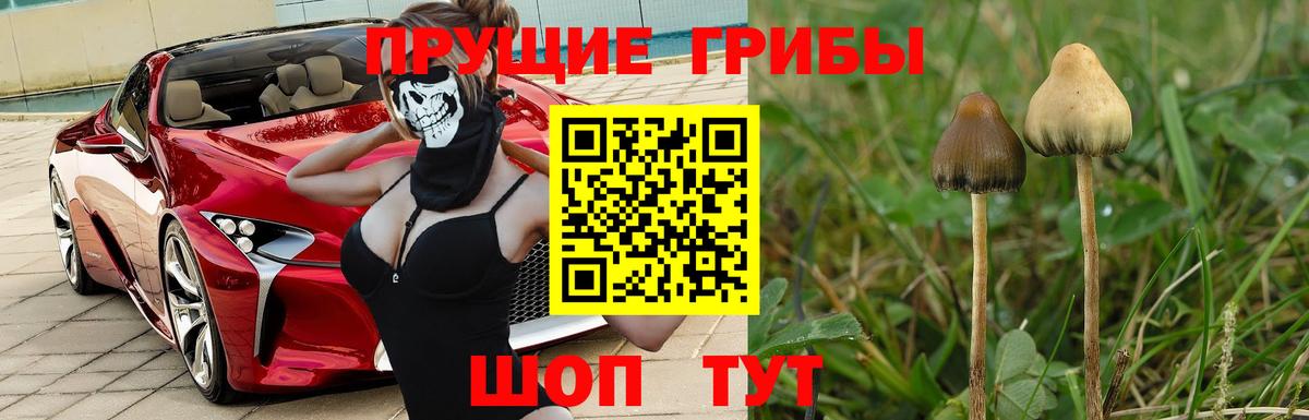 Галлюциногенные грибы мухоморы  Вход с VPN  Нижний Тагил 